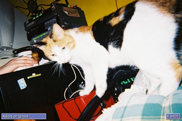 Molly
