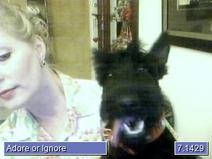 Scottiemom