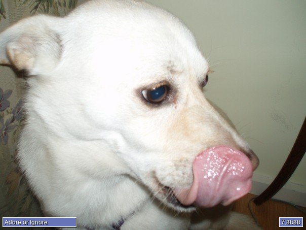 Maggie