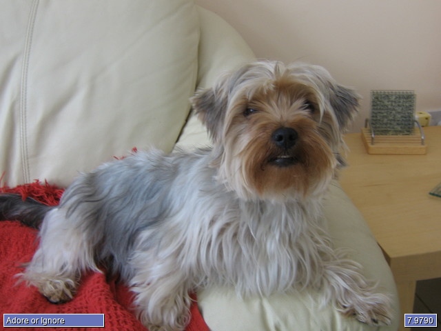 Lily