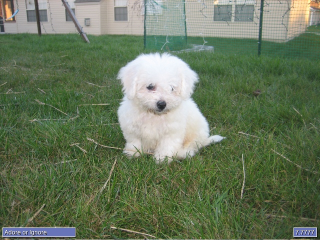 Monty