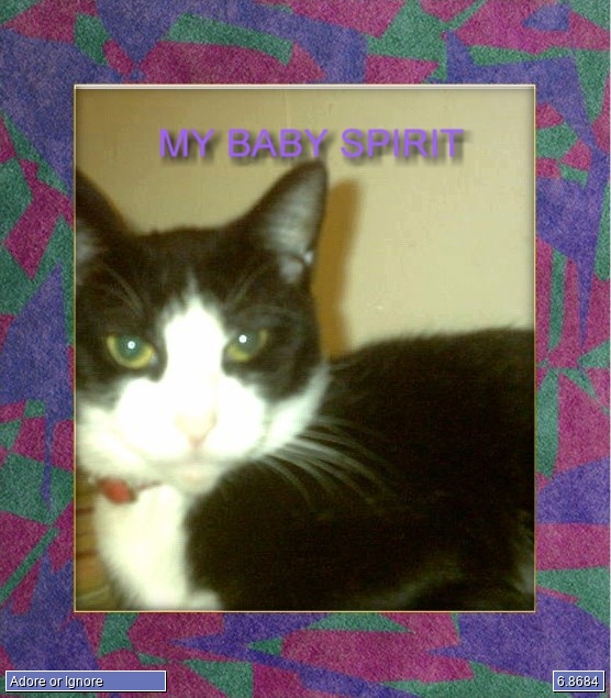 spirits meowmie